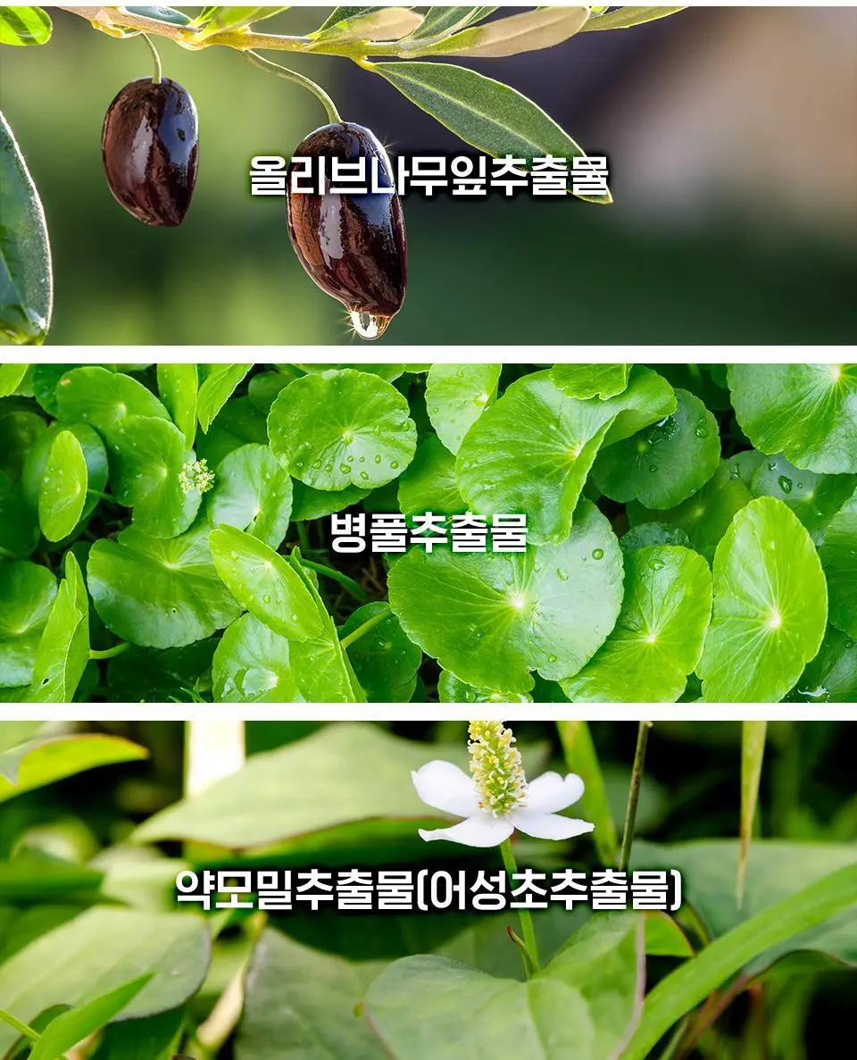 [잡티토닉/미백잡티] 아이소이 브라이트닝 토닉 에센스 90ml 상세페이지 9